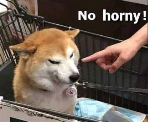 horny meme|Horny GIFs .